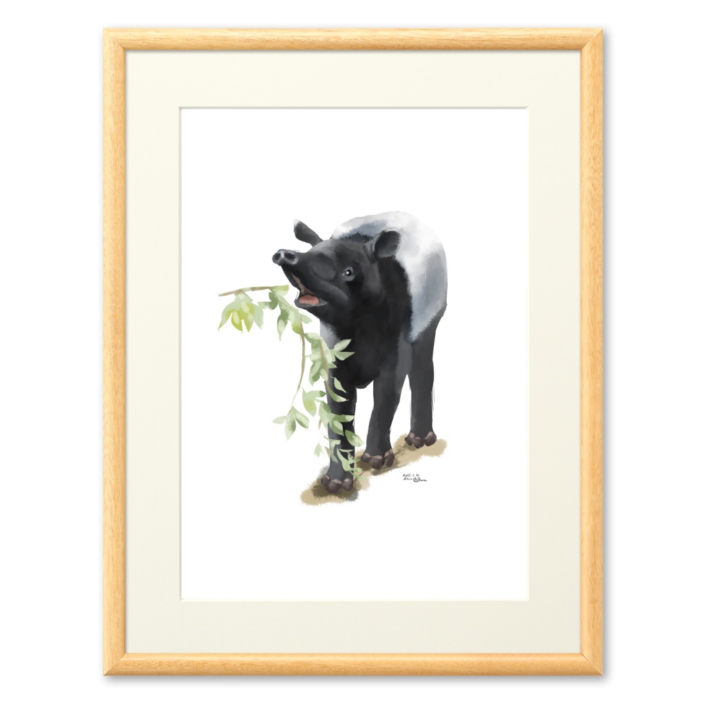 Animals