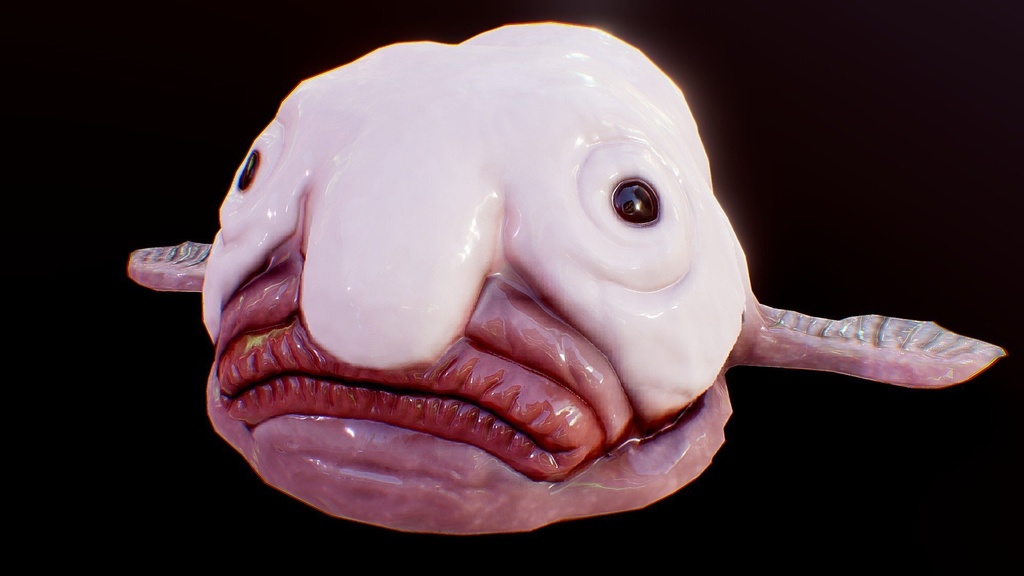 Blobfish