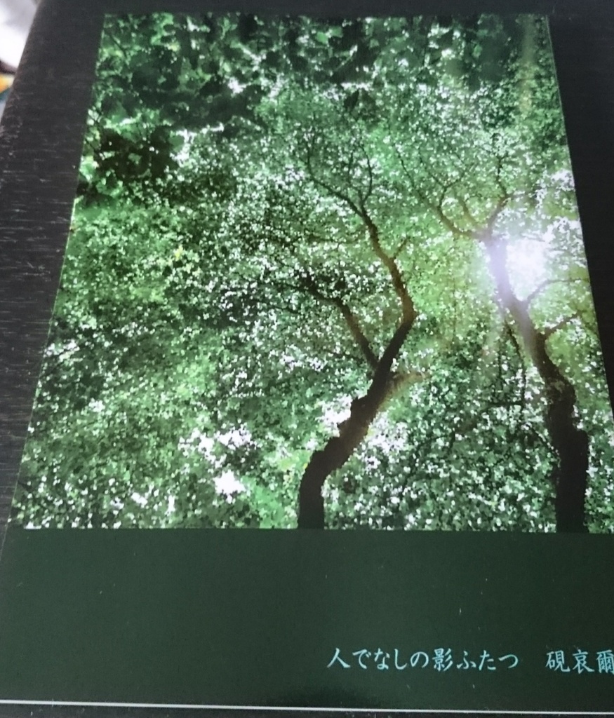 人でなしの影ふたつ