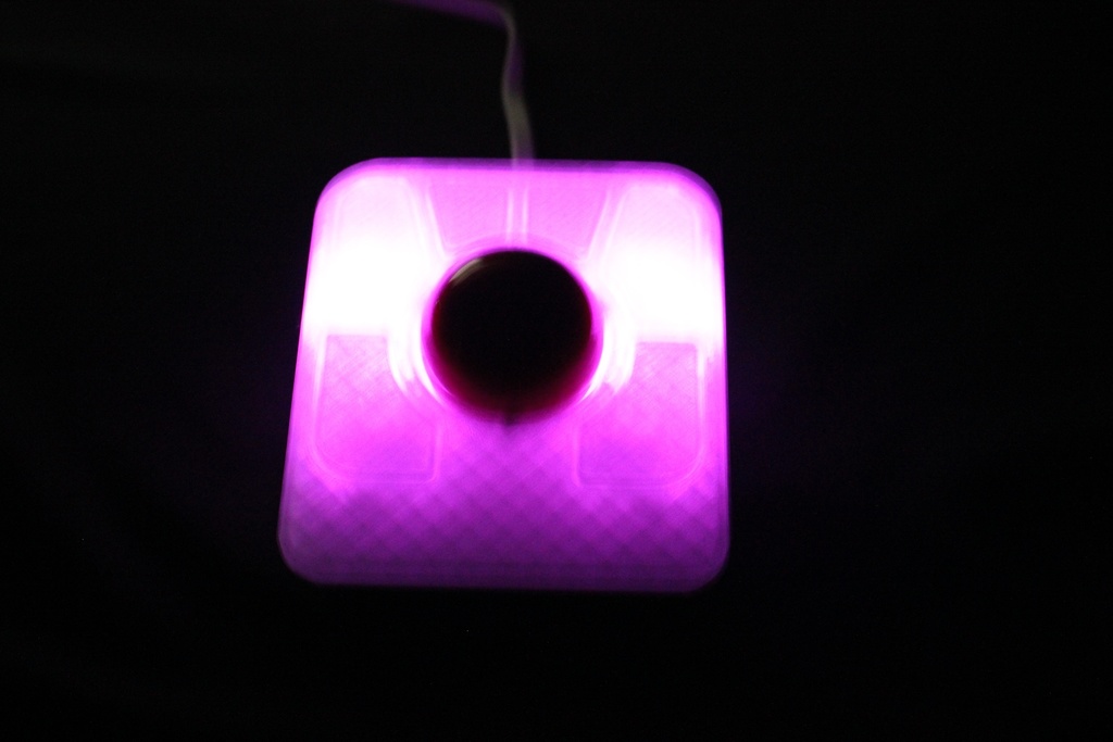 Adept Trackball Custom