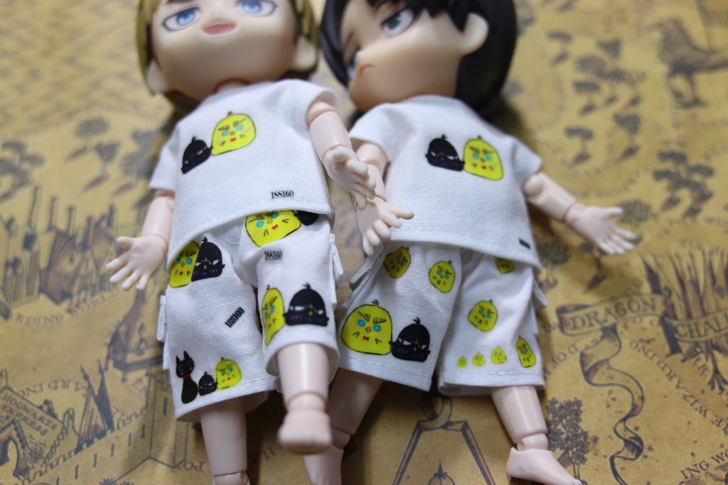 気まぐれ一品物、Tシャツ+ハーフパンツ