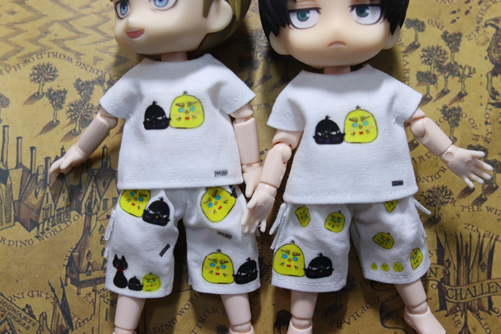 気まぐれ一品物、Tシャツ+ハーフパンツ