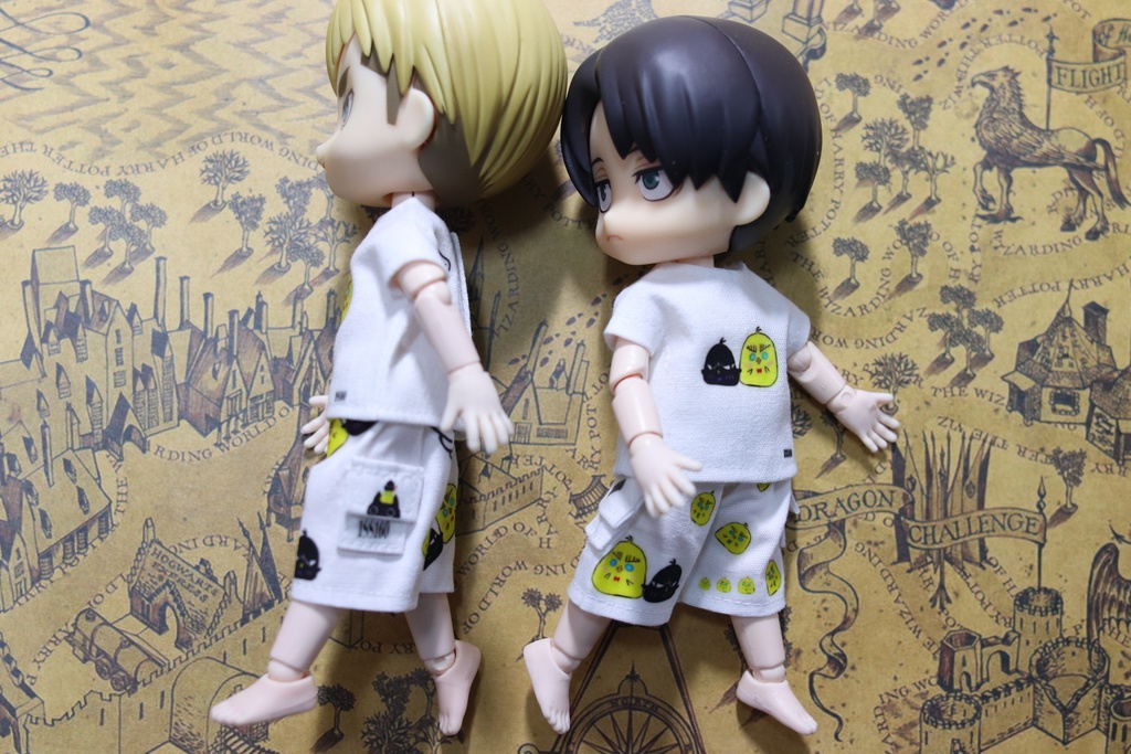 気まぐれ一品物、Tシャツ+ハーフパンツ