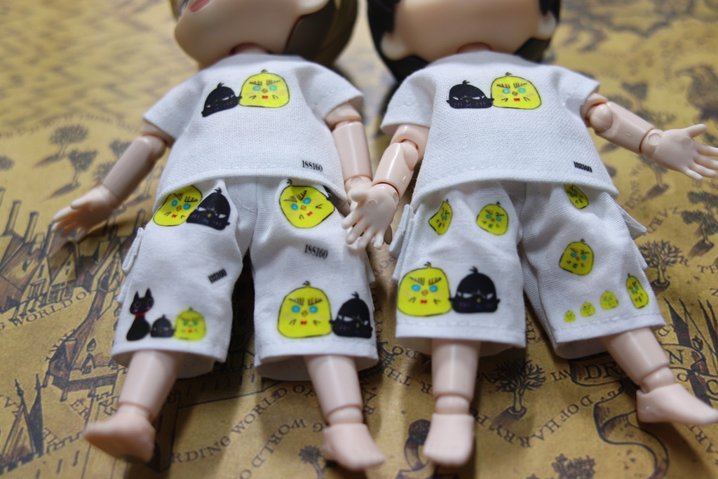 気まぐれ一品物、Tシャツ+ハーフパンツ