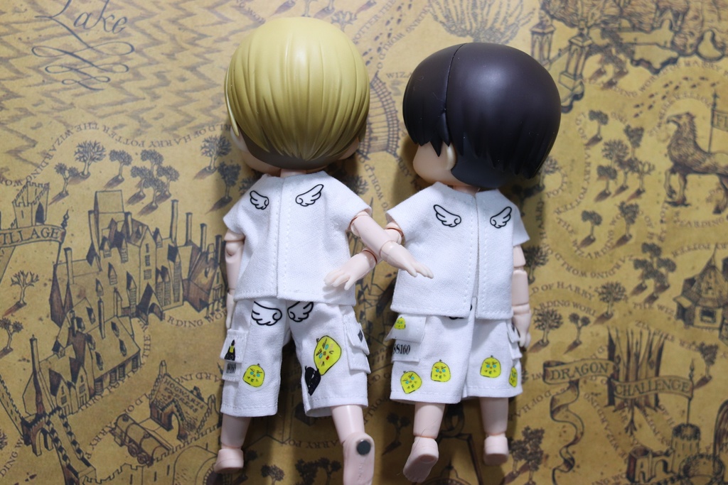 気まぐれ一品物、Tシャツ+ハーフパンツ