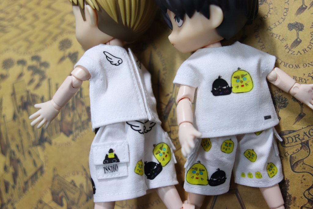 気まぐれ一品物、Tシャツ+ハーフパンツ