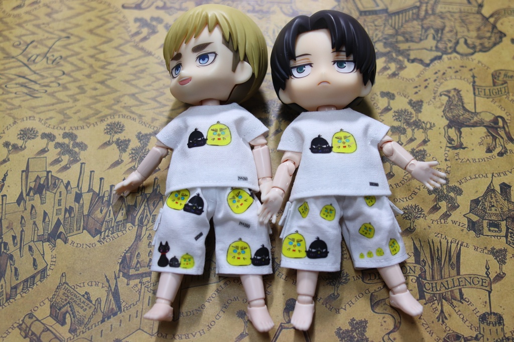 気まぐれ一品物、Tシャツ+ハーフパンツ