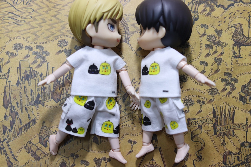 気まぐれ一品物、Tシャツ+ハーフパンツ