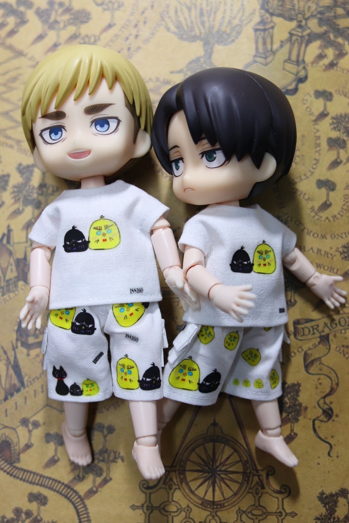 気まぐれ一品物、Tシャツ+ハーフパンツ