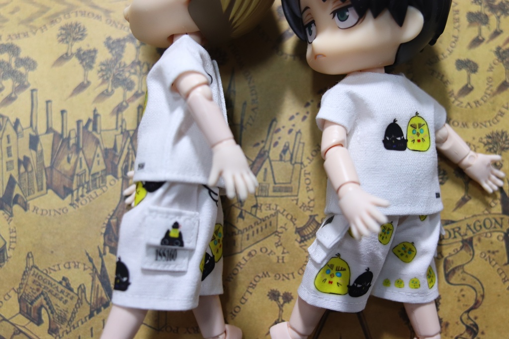 気まぐれ一品物、Tシャツ+ハーフパンツ