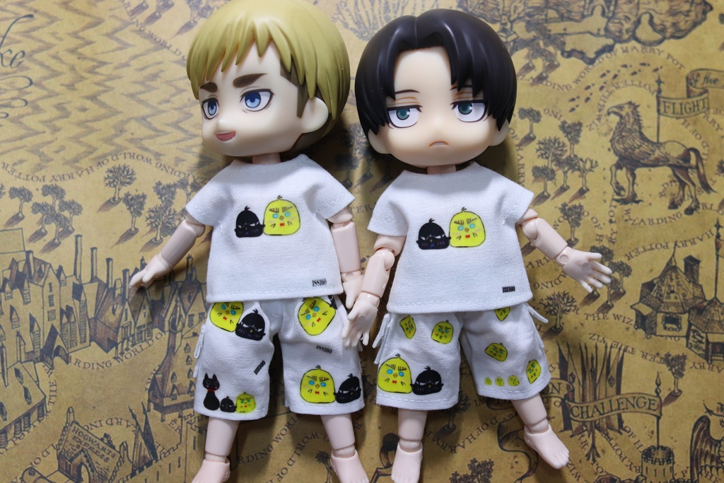 気まぐれ一品物、Tシャツ+ハーフパンツ