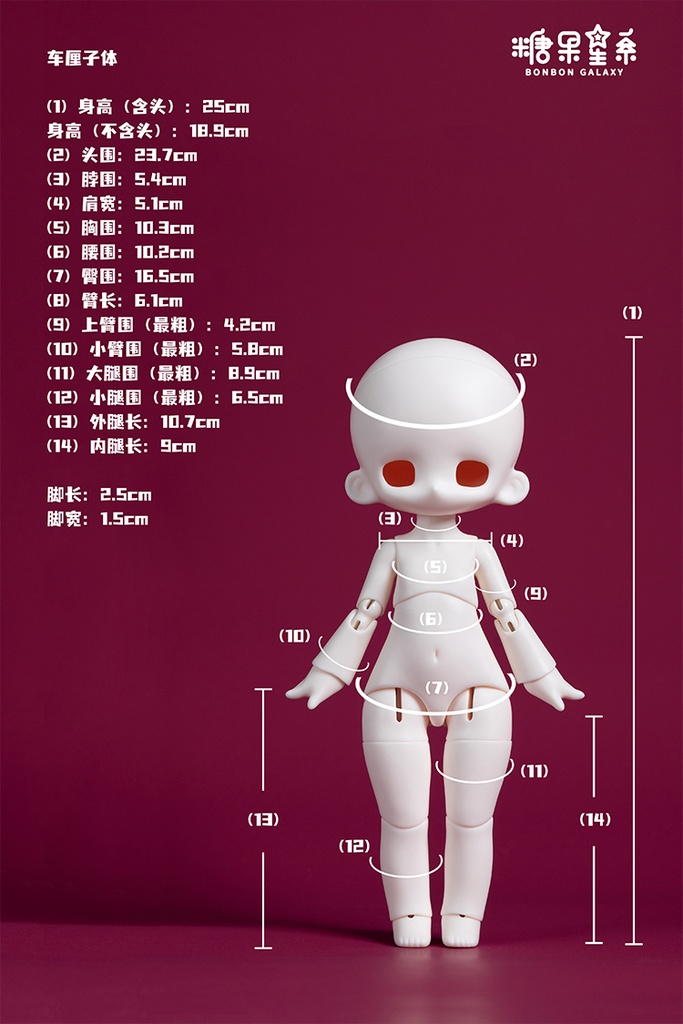 「既納」꒰恵ちゃん꒱「1/6 ドール PVC素材.ver」