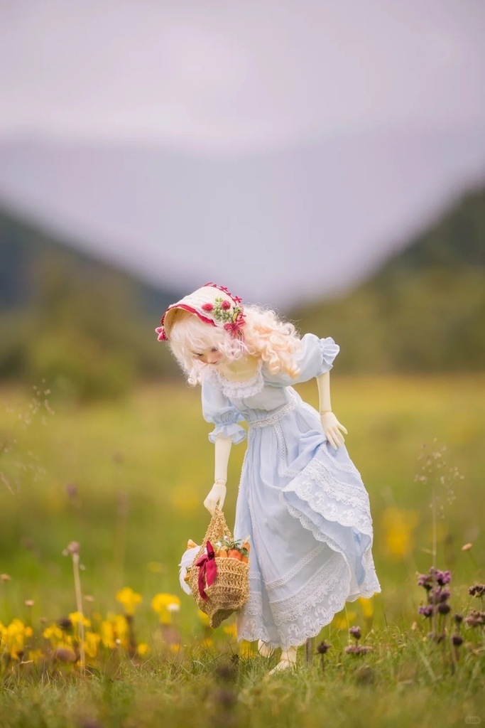 「受注」꒰アルプスの少女꒱「1/3·1/4ドール服」