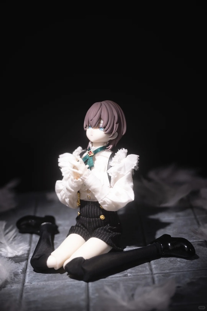 「受注」꒰永夜の刻痕꒱ 「1/6 BJD ブラインドボックス」