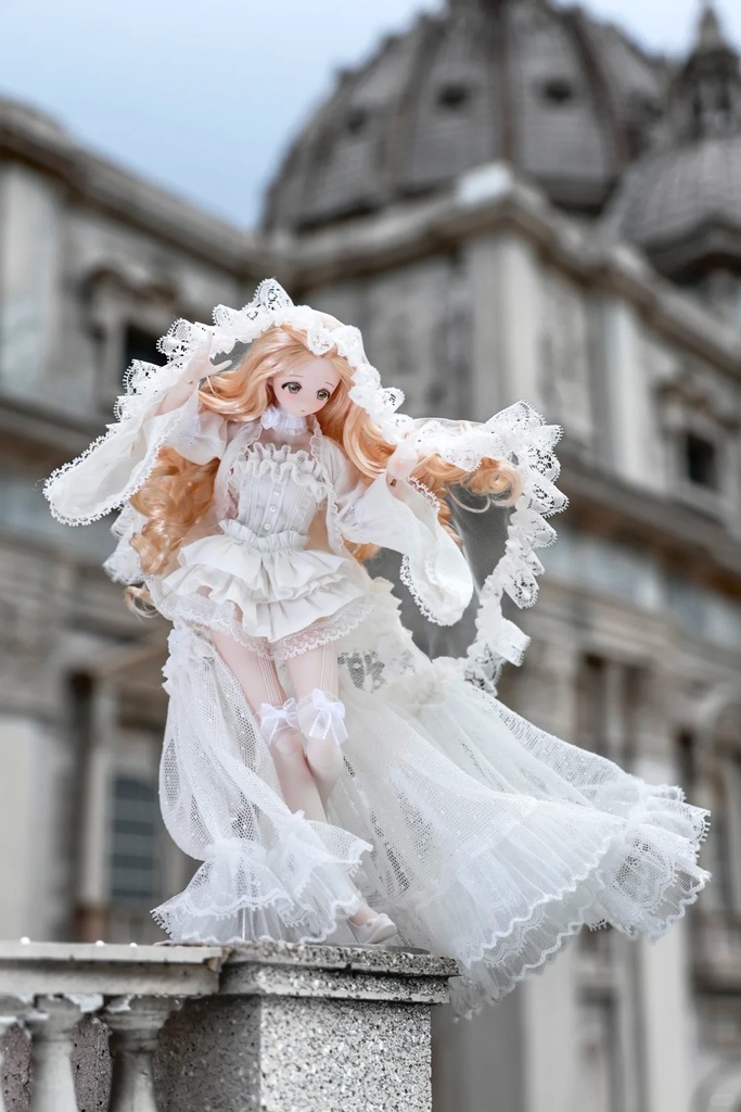 「受注」꒰薔薇事務所꒱「1/6 BJD 植毛ドール ブラインドボックス」