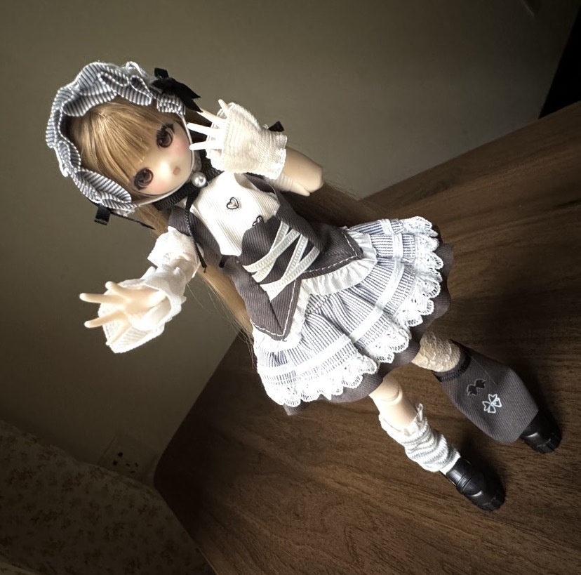 「通販」꒰灰白の序章꒱「1/6ドール, Azone,OB22,OB24 /OF」