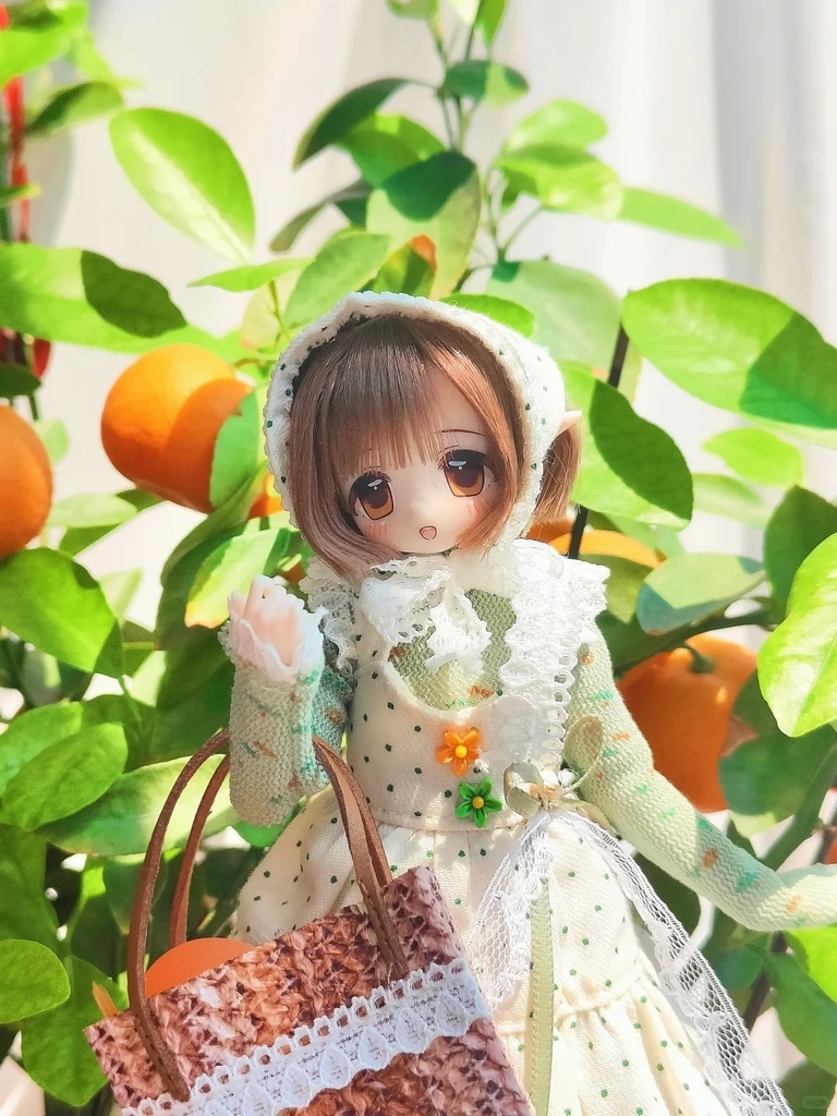 「通販」꒰春野めぐり꒱「Azone,OB22,OB24 /OF」