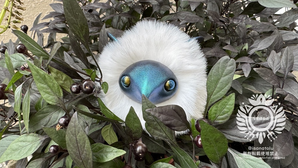 スノ虫　受注受付 18日21時～30日いっぱいまで