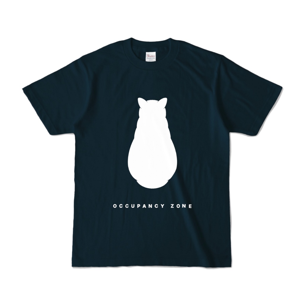 CCP-HIS01-EN Occupancy Zone T 