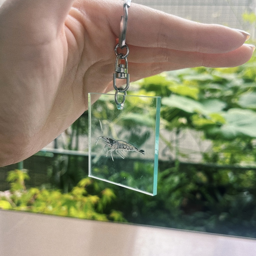 OASIS アクリルキーホルダー