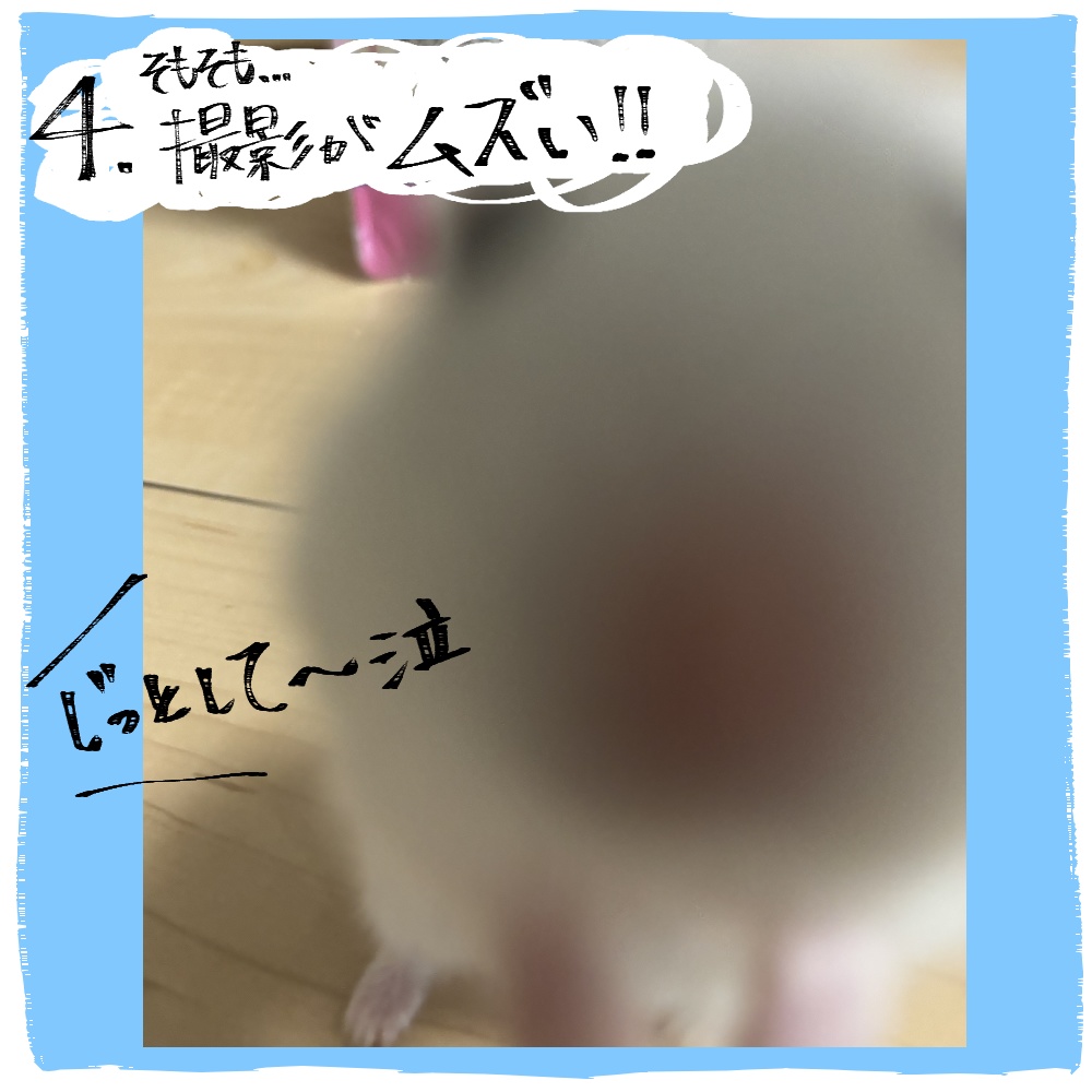 "うちの子"オリジナルスタンプ制作販売