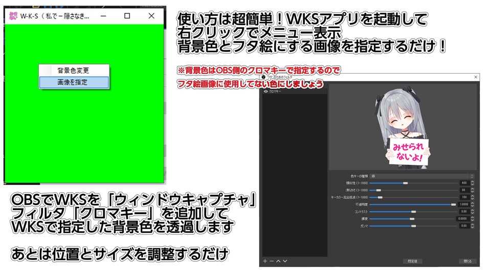 WKS(ワタクシで・隠さなきゃ・システム)改