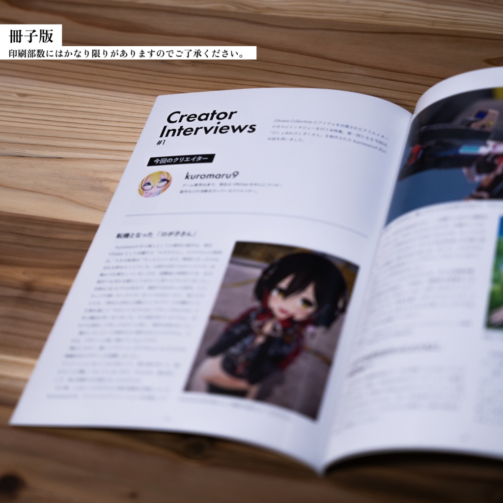 【VRChatアバターコレクション雑誌】1Dozen Collection col.2 (特集 kuromaru9氏)
