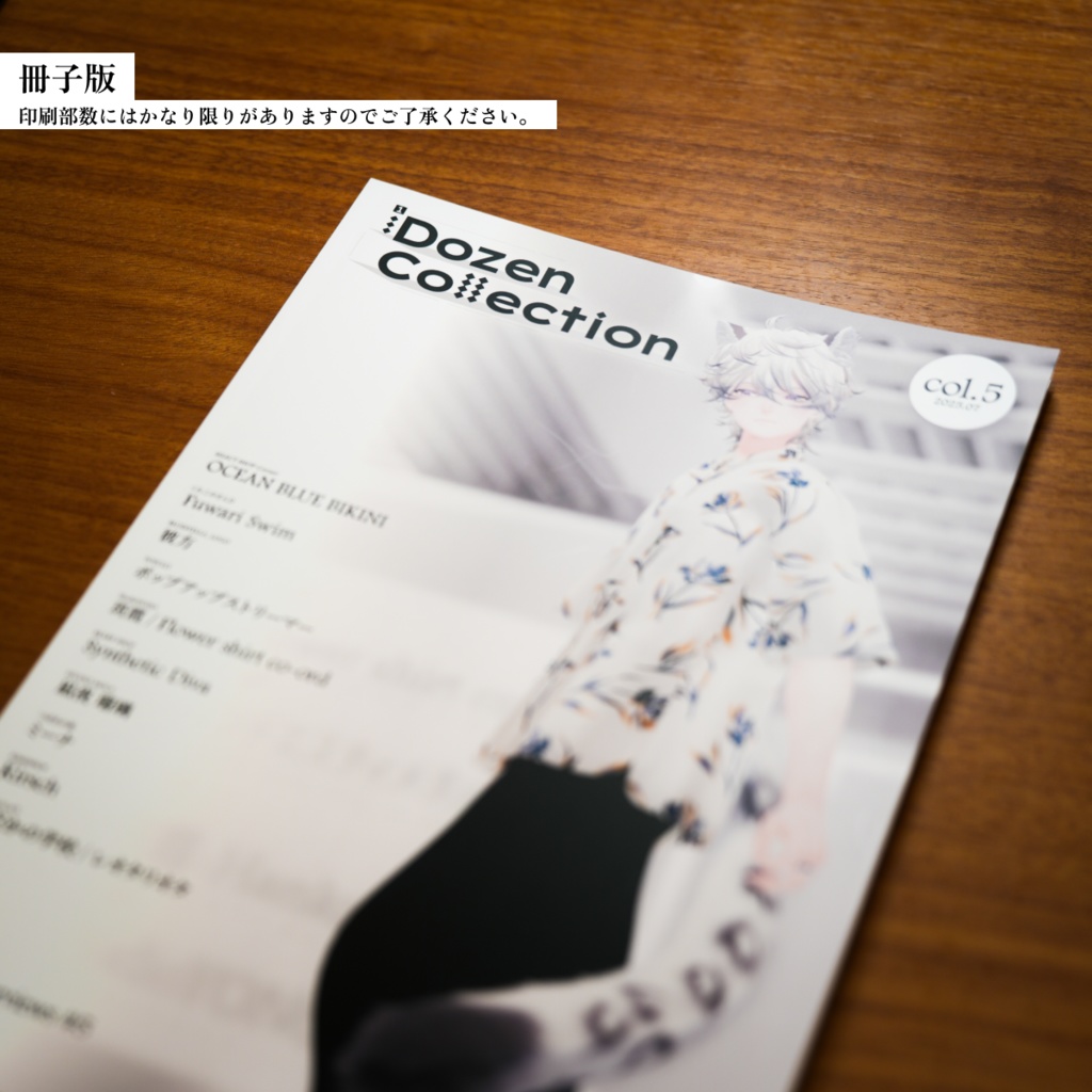 【VRChatアバターコレクション雑誌】1Dozen Collection col.5 (特集 S0M0氏)