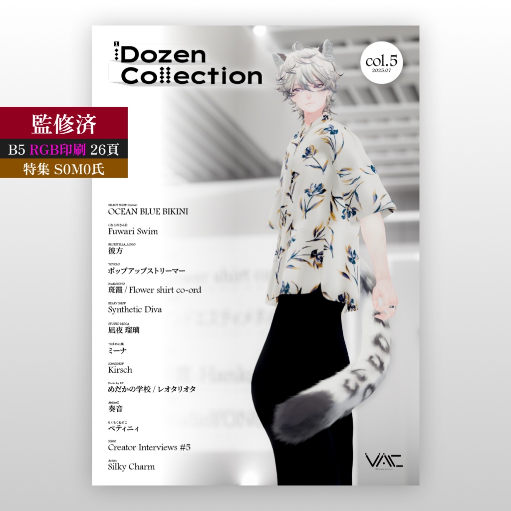 【VRChatアバターコレクション雑誌】1Dozen Collection col.5 （特集 S0M0氏）