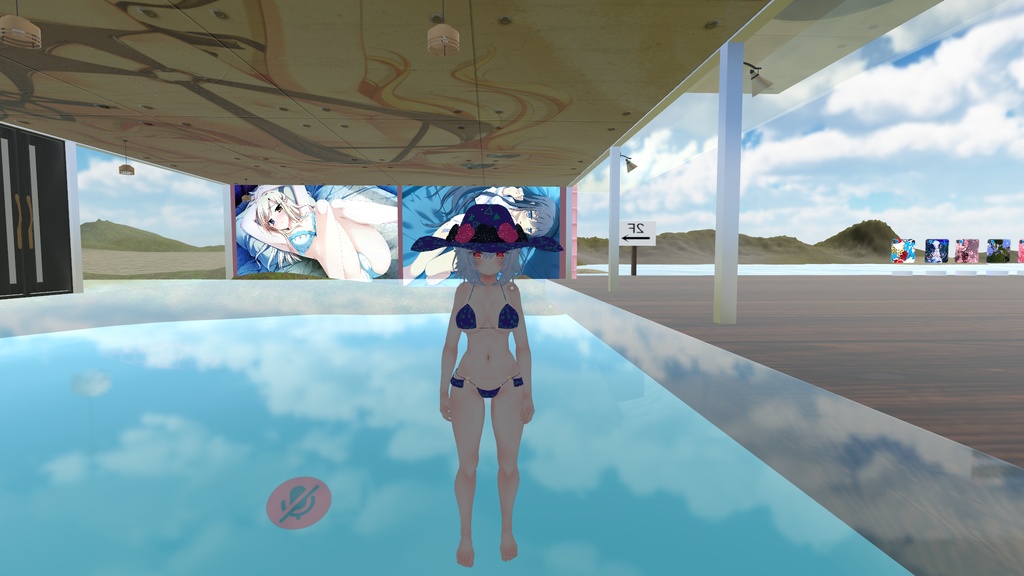 ティコ(Tycho)用水着bikini