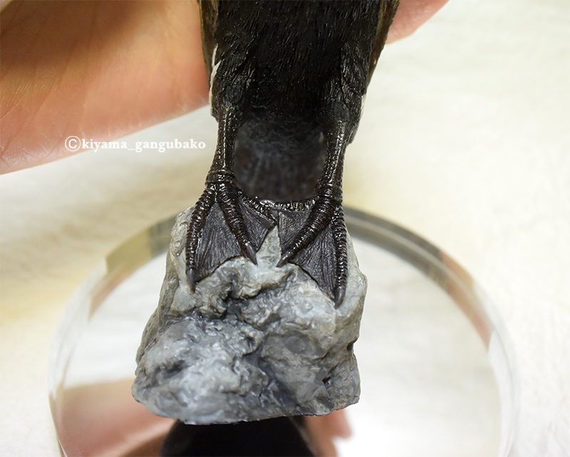 カワウ(未組立キット)