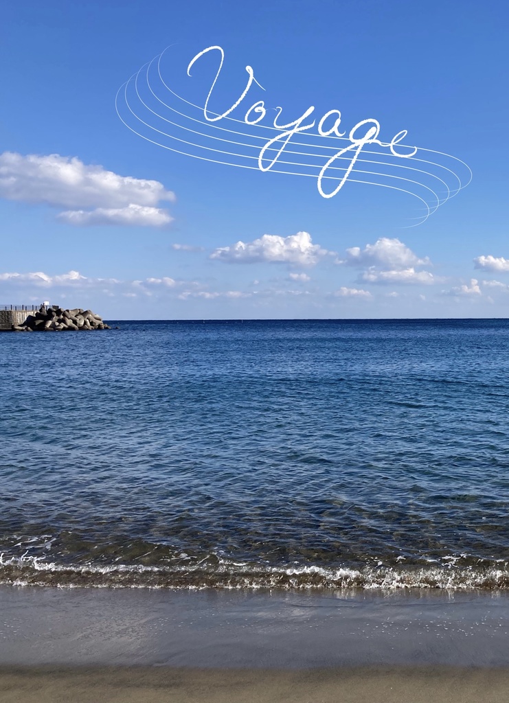 Voyage