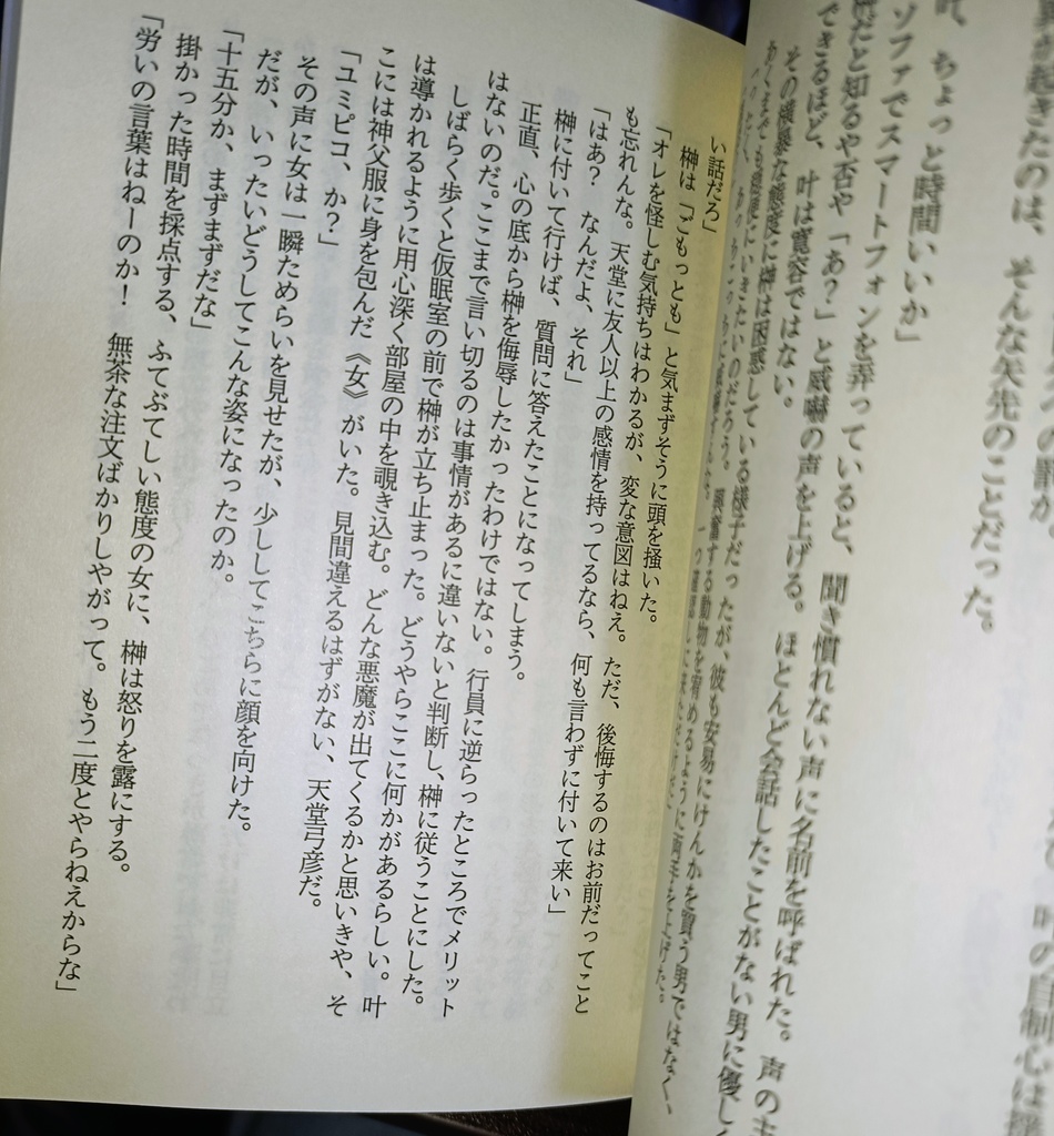 リバーシブル・ロマンス