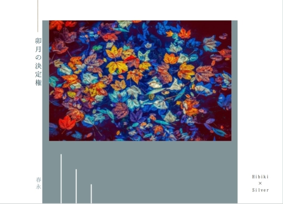 卯月の決定権 / ヒビライ小説本