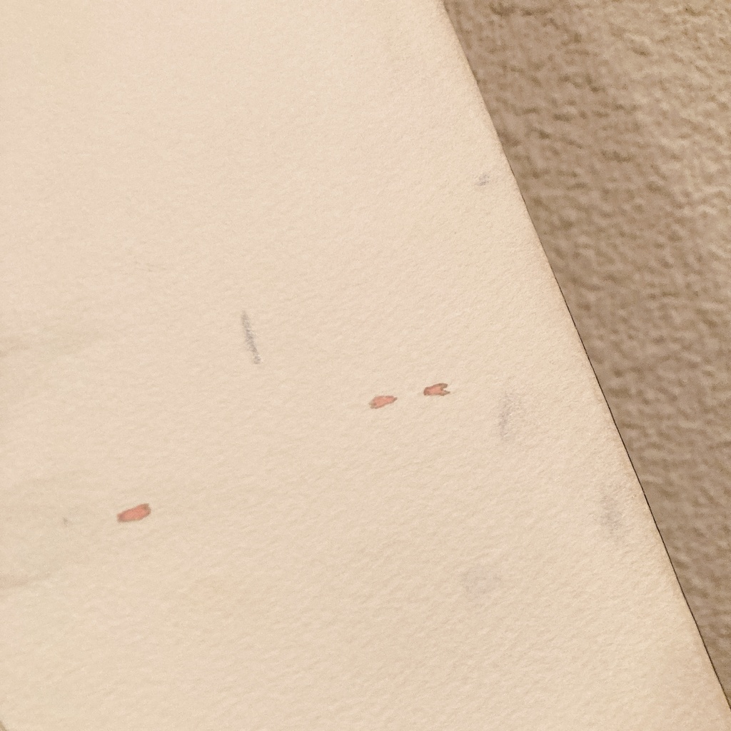 2009年原画作品「幻影」