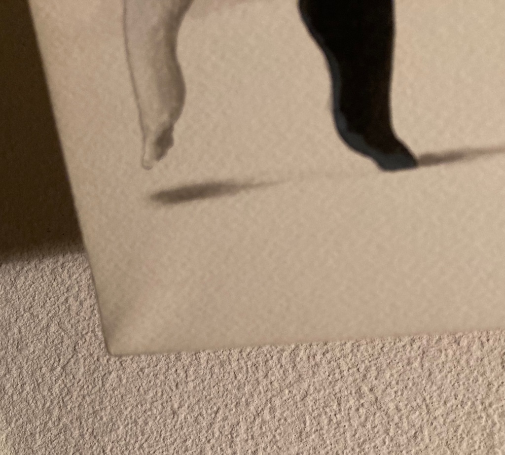 2009年原画作品「幻影」