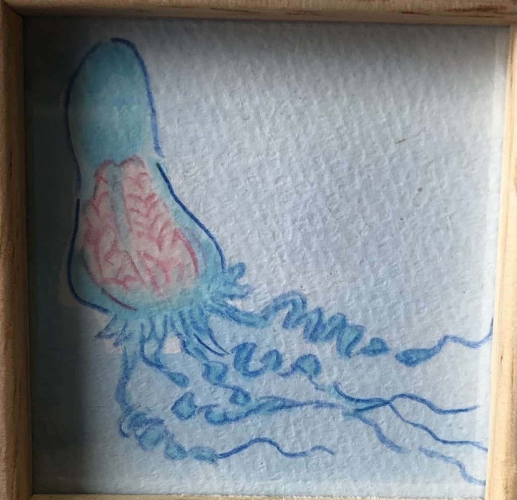 原画 リアルクラゲ 知絵の道具屋さん Booth