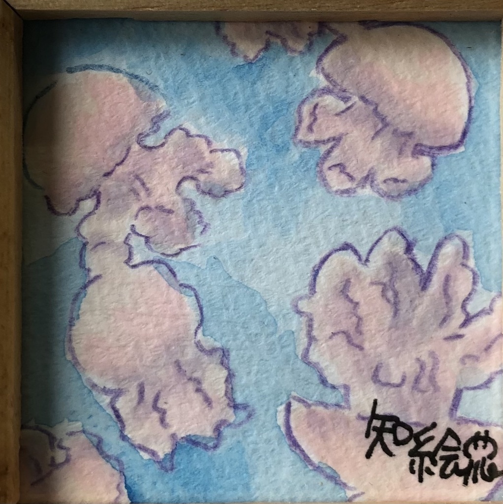 原画　カラージェリー