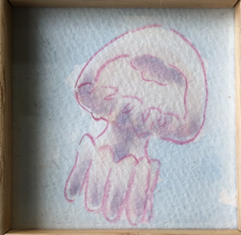 原画　リゾストマ・パルモ