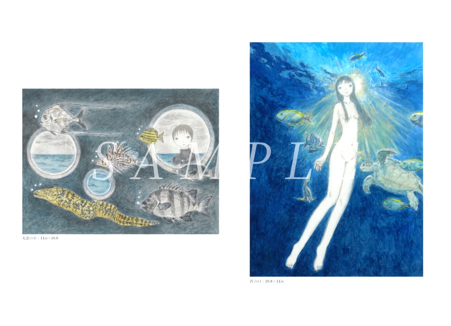 画集 追憶の回廊