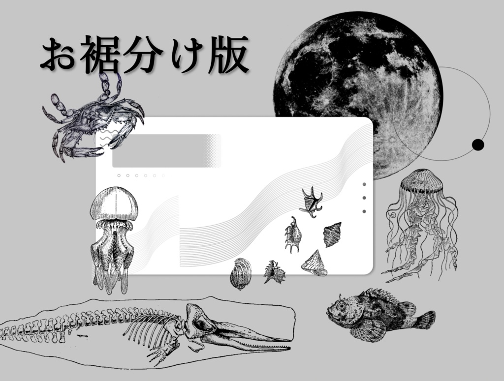 【無償/有償】海×星×博物館の素材