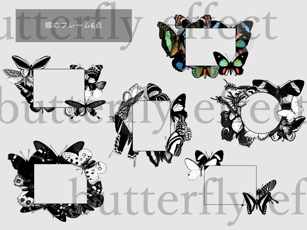 【有償/無償】蝶×蝶×蝶 の素材