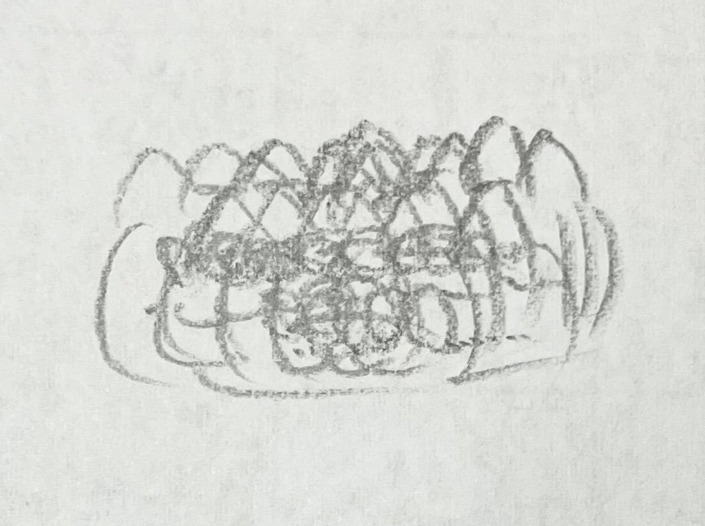 とある塾にて