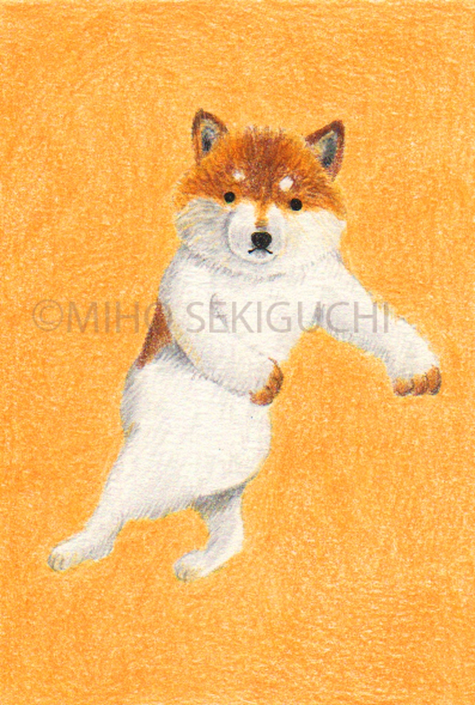 額入り原画「ダンス犬２（黄）」