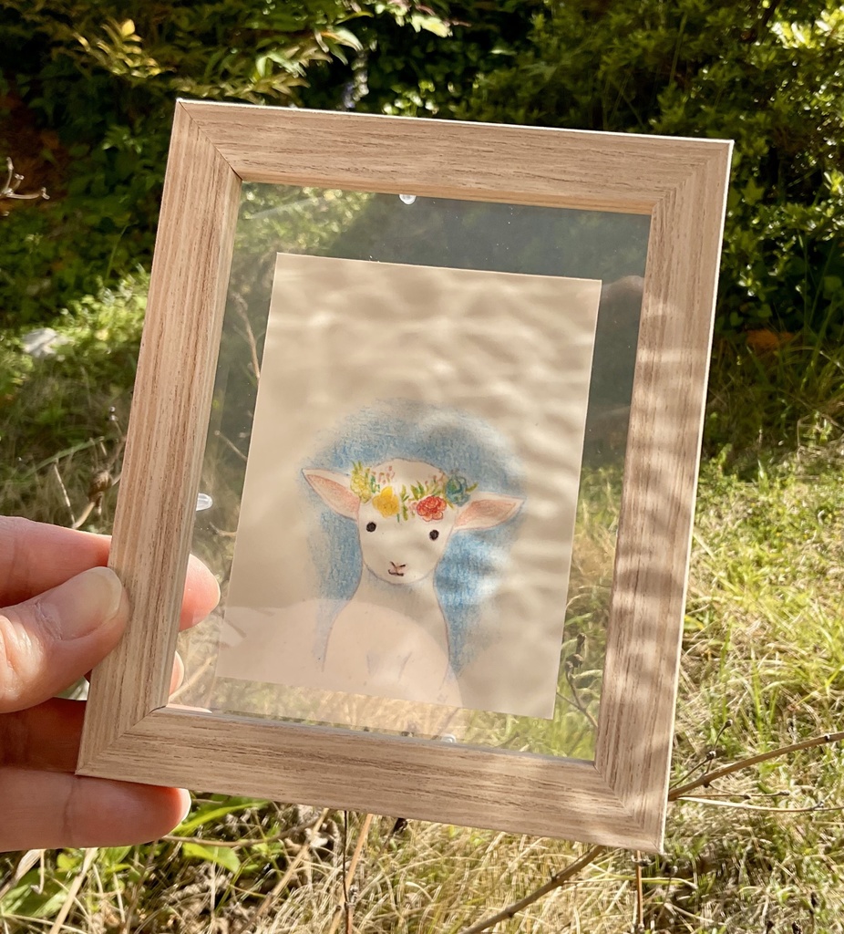 <残り1点> 色鉛筆 原画「花かんむりの子ひつじ」