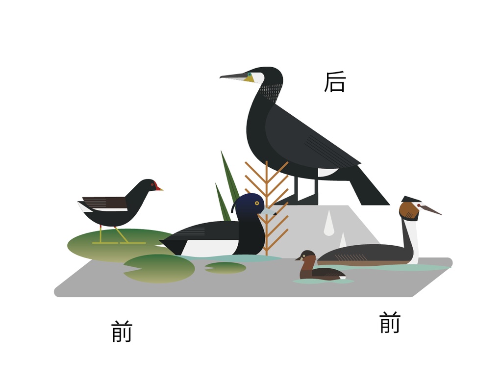 アクリルスタント 水に浮かぶ鳥ver