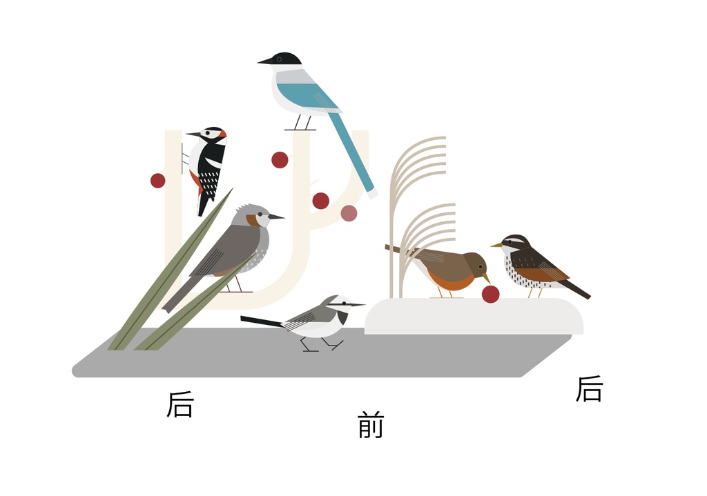 アクリルスタント 中型の鳥ver