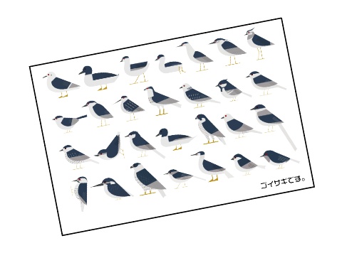 クリアカード 変なゴイサギver