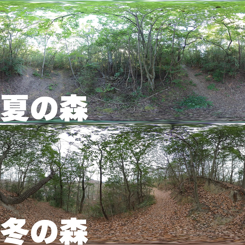 パノラマ写真集　夏の森・冬の森