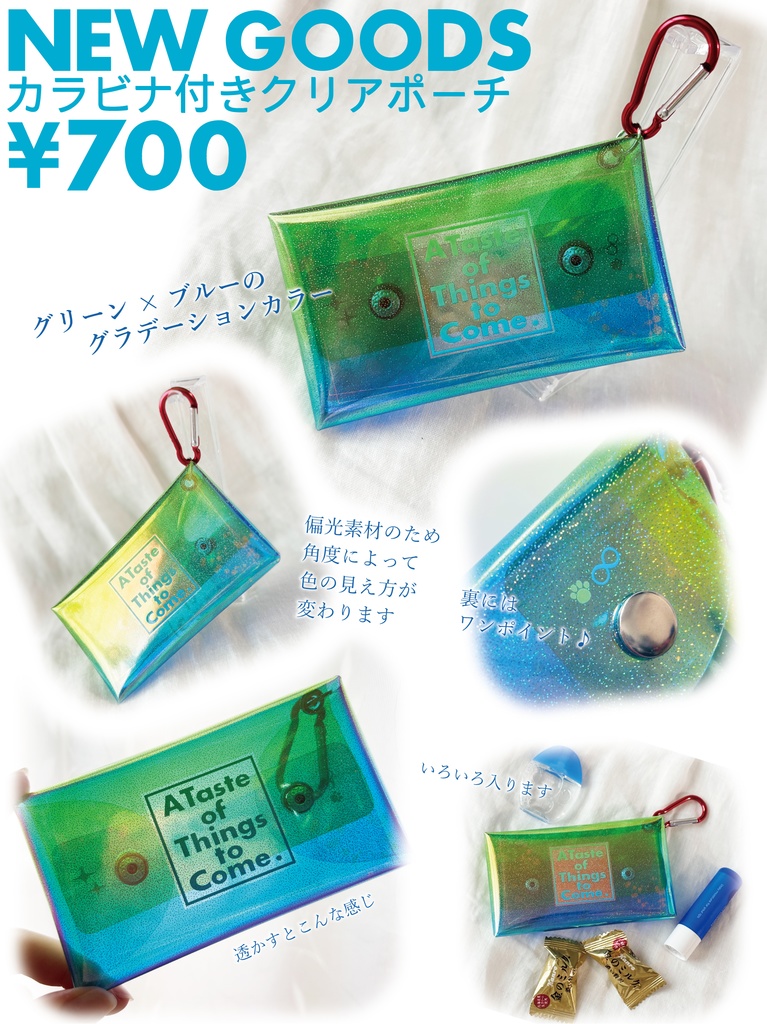 カラビナ付きクリアポーチ（245イメージグッズ）